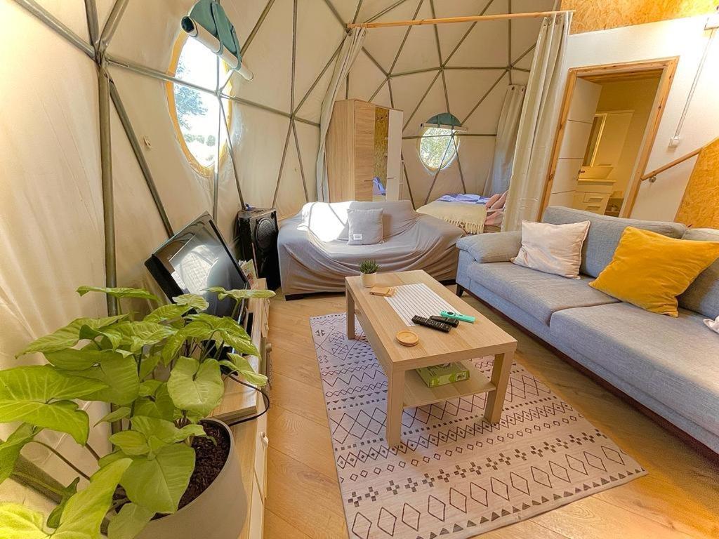 Olive Dome - כיפה גיאודזית ענקית ומודרנית בין עצי הזית Hotel Yavne'el Ngoại thất bức ảnh