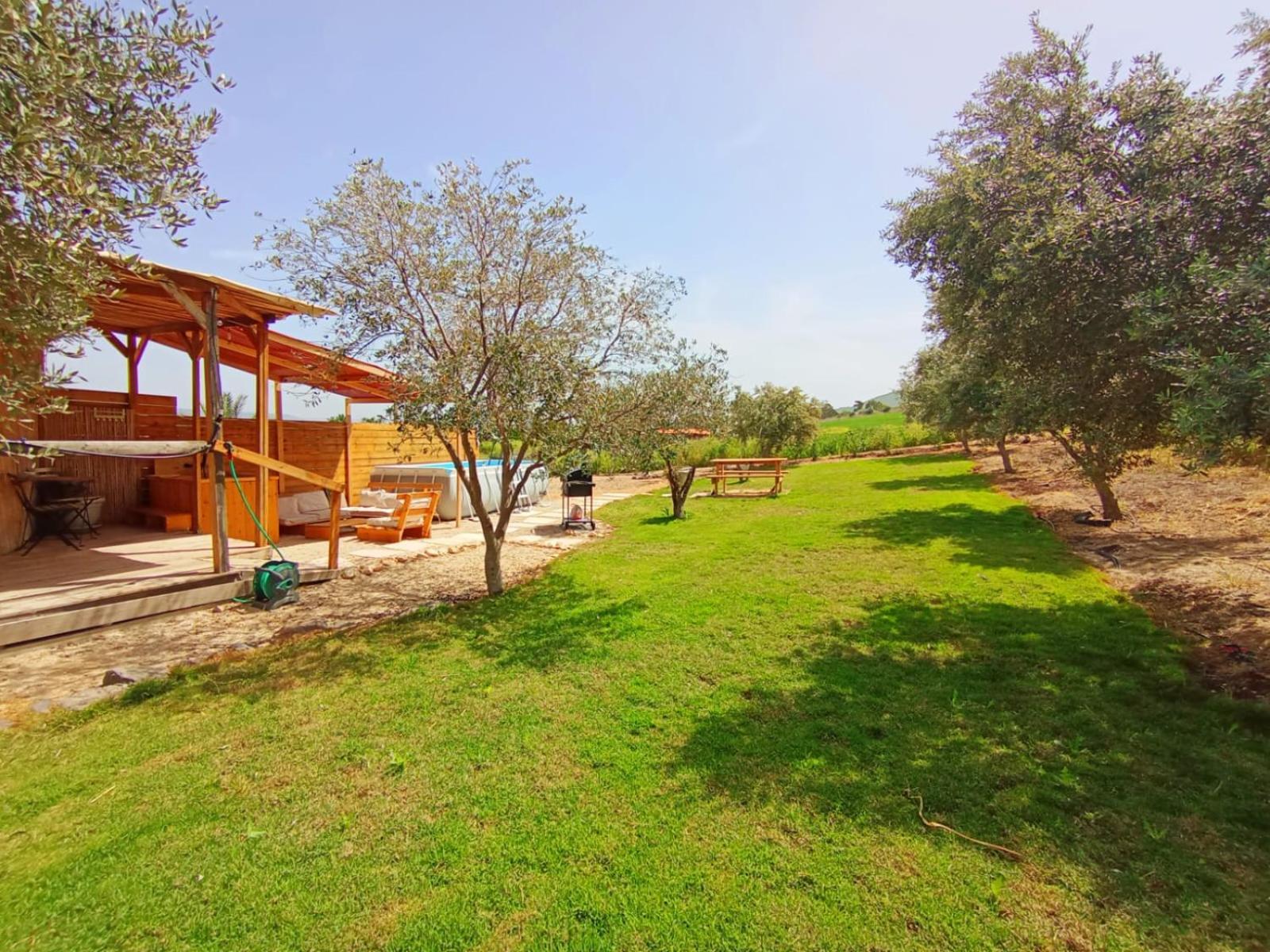 Olive Dome - כיפה גיאודזית ענקית ומודרנית בין עצי הזית Hotel Yavne'el Ngoại thất bức ảnh